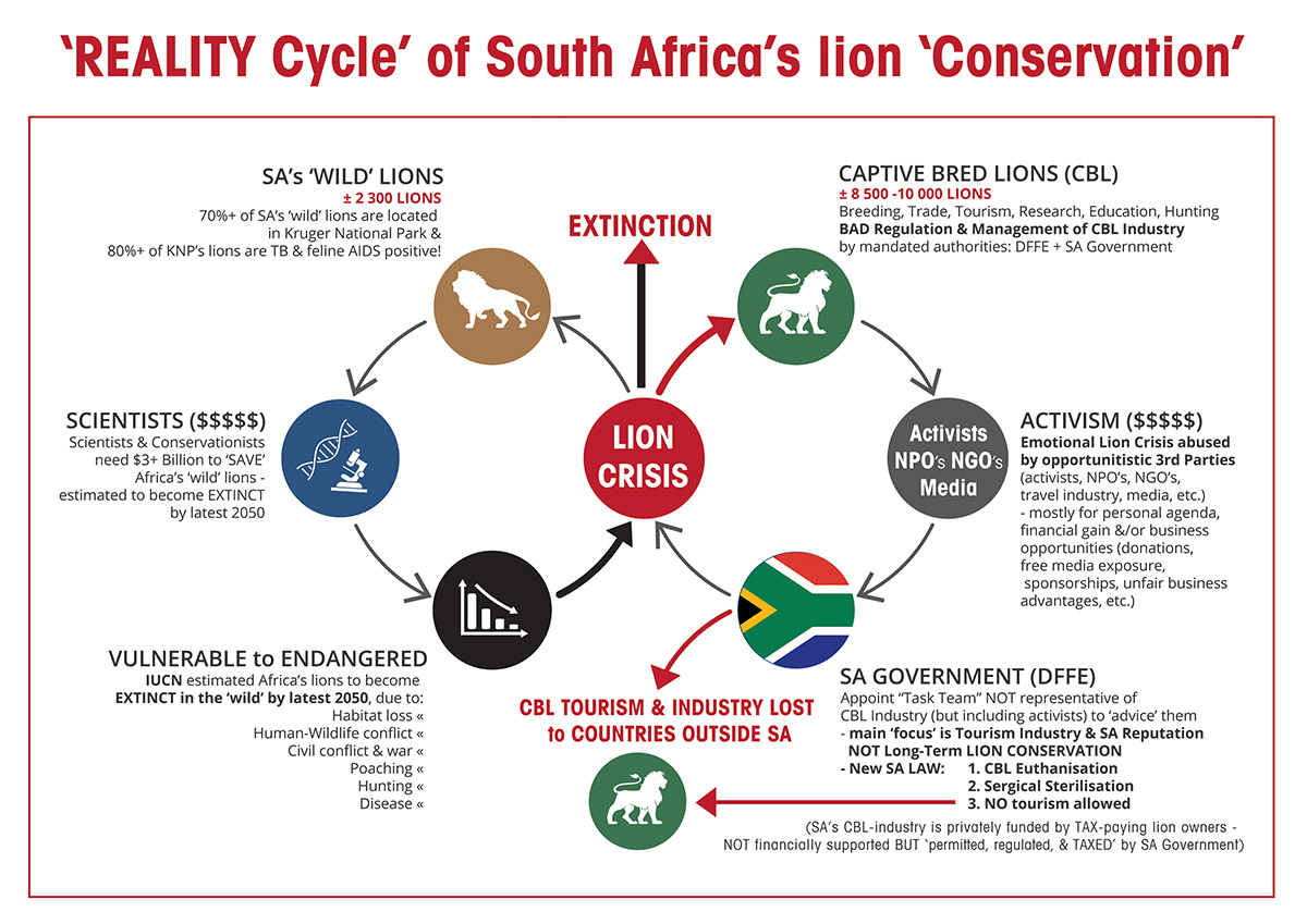 Blood LINE of African lions